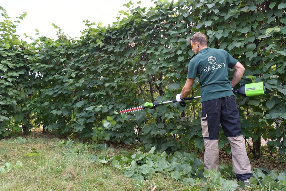 садовник стрижет изгородь с помощью кустореза Greenworks
